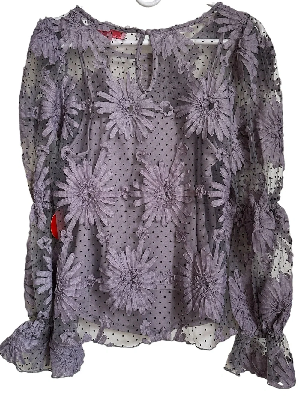 Anthropologie Eva Franco Lace Floral Blouse